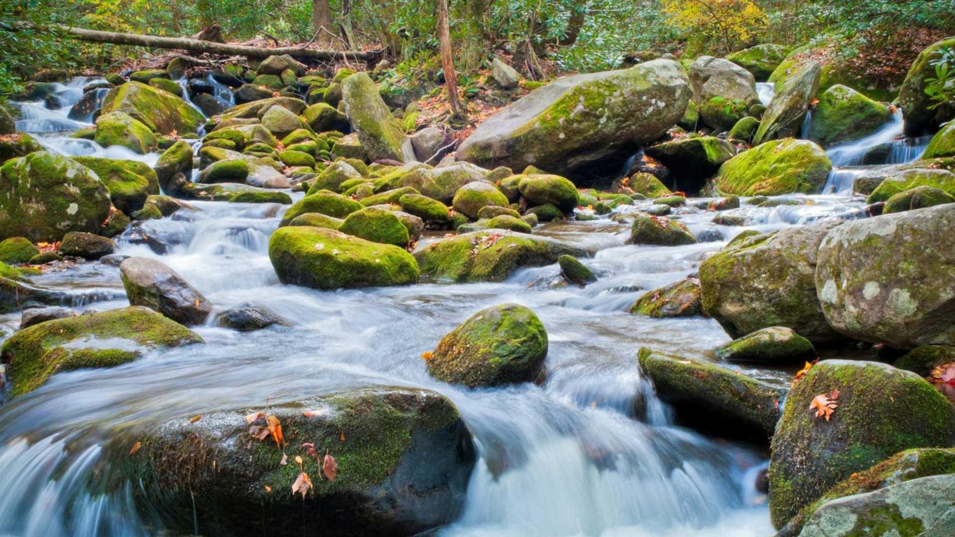 Little Smoky Retreat , 3 Bedroom , Close To Downtown Gatlinburg And Pigeon Forge Exterior foto